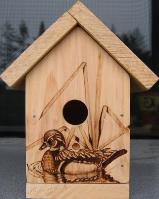 Duck Bird House