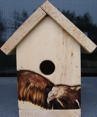 Eagle Bird House