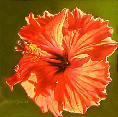 Hibiscus