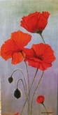 Poppies