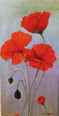 Poppies