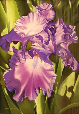 Purple Iris