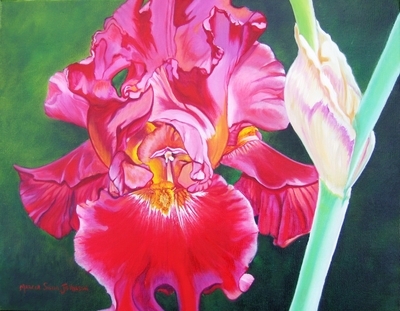 Red Iris